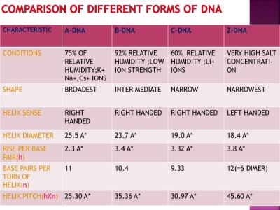 DNAs_comparison.jpg